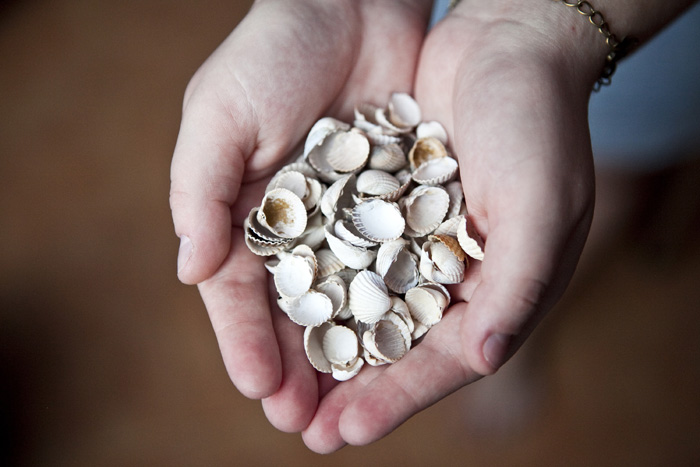 muszelki w dłoniach
